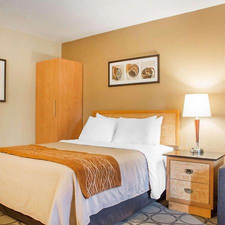Comfort Inn Brantford Exteriér fotografie