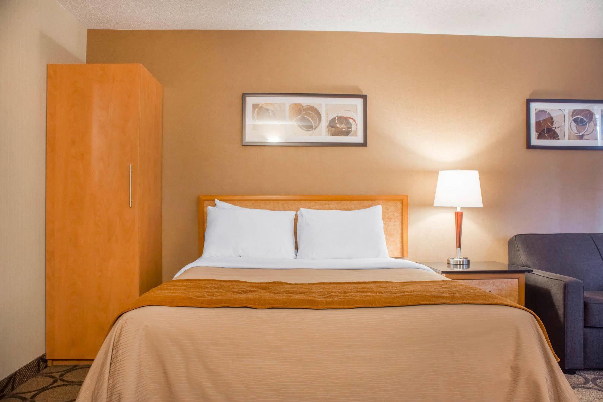 Comfort Inn Brantford Exteriér fotografie