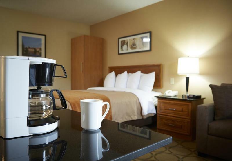 Comfort Inn Brantford Exteriér fotografie